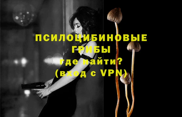 стаф Алексин