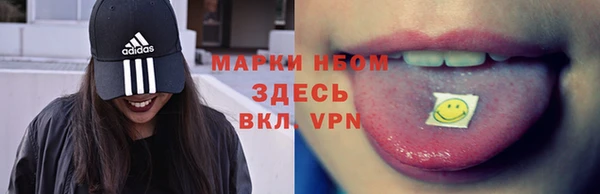 стаф Алексин