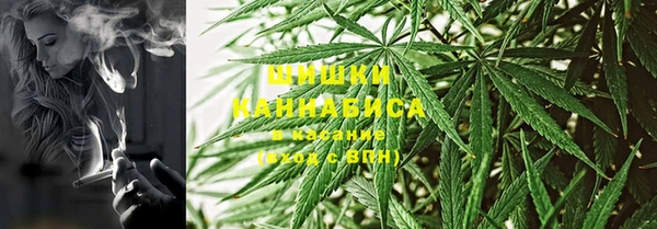 ПСИЛОЦИБИНОВЫЕ ГРИБЫ Алзамай