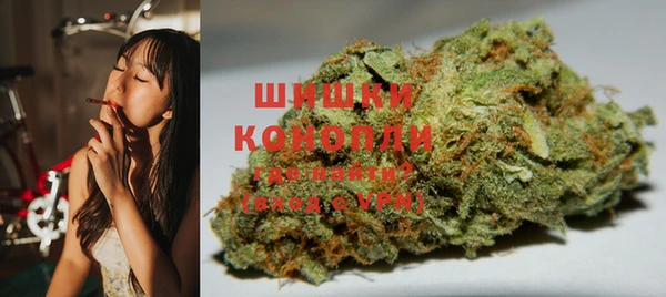 ПСИЛОЦИБИНОВЫЕ ГРИБЫ Алзамай