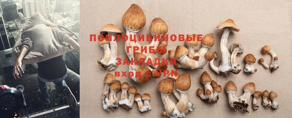 соль курить ск Алексеевка