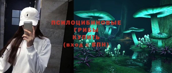 ПСИЛОЦИБИНОВЫЕ ГРИБЫ Алзамай