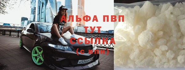 стаф Алексин