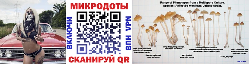 Купить где  Сосногорск  Псилоцибиновые грибы Psilocybe 
